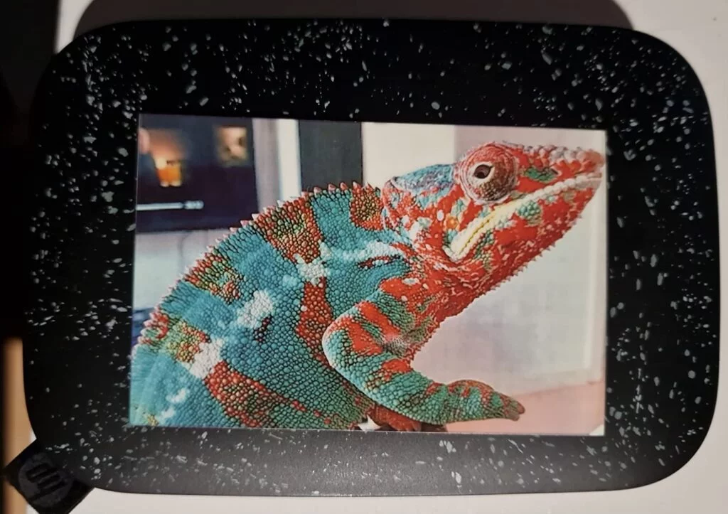 hp sprocket portable 2x3