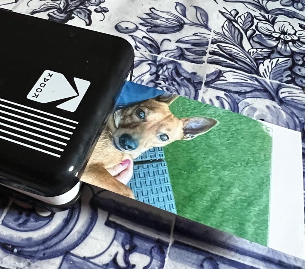 cartridge de la P210R